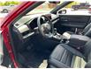 2025 Honda CR-V Hybrid EX-L (Stk: A-0016) in Brockville - Image 4 of 13