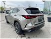 2024 Lexus NX 350h Base (Stk: L25784A) in Calgary - Image 2 of 24