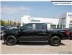 2024 Ford F-150 STX (Stk: 25BS383A) in Newmarket - Image 3 of 25