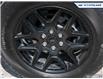 2024 Ford F-150 STX (Stk: 25BS383A) in Newmarket - Image 6 of 25
