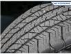2024 Ford F-150 STX (Stk: 25BS383A) in Newmarket - Image 7 of 25