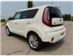 2019 Kia Soul EX (Stk: 4-P320A) in Bowmanville - Image 4 of 34