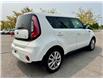 2019 Kia Soul EX (Stk: 4-P320A) in Bowmanville - Image 6 of 34