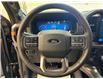 2025 Ford F-150 Tremor (Stk: NA93920) in Shellbrook - Image 12 of 23