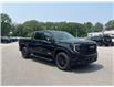 2025 GMC Sierra 1500 Elevation (Stk: RC1R01388) in LaSalle - Image 3 of 30