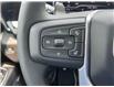 2025 GMC Sierra 1500 Elevation (Stk: RC1R01388) in LaSalle - Image 28 of 30