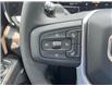 2025 GMC Sierra 1500 Elevation (Stk: RC1R01389) in LaSalle - Image 28 of 30