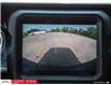 2023 Jeep Wrangler Sahara (Stk: 62430) in Essex-Windsor - Image 30 of 31
