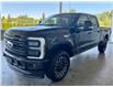 2025 Ford F-350  (Stk: 25206) in Port Alberni - Image 8 of 21