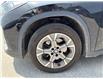 2023 BMW X1 xDrive28i (Stk: XU785) in Sarnia - Image 4 of 4