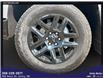 2025 Chevrolet Silverado 1500 LT Trail Boss (Stk: 3927) in Unity - Image 18 of 18