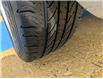 1996 BMW Z3 Base (Stk: N241384) in Mount Pearl - Image 8 of 14