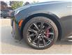 2024 Cadillac CT5-V V-Series (Stk: 25821A) in Port Hope - Image 5 of 22