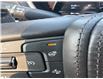 2024 Cadillac CT5-V V-Series (Stk: 25821A) in Port Hope - Image 13 of 22