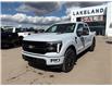 2025 Ford F-150 Platinum (Stk: 25-0352) in Prince Albert - Image 13 of 28