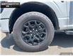 2025 Ford F-150 XLT (Stk: 5F129816) in Brantford - Image 4 of 20