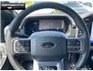 2025 Ford F-150 XLT (Stk: 5F129816) in Brantford - Image 9 of 20