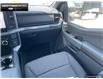2025 Ford F-150 XLT (Stk: 5F129816) in Brantford - Image 20 of 20