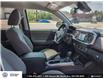 2019 Toyota Tacoma SR5 V6 (Stk: 25112AA) in North Bay - Image 19 of 20