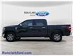 2023 Ford F-150 Lariat (Stk: A4554) in Wyoming - Image 4 of 15