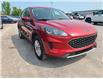 2021 Ford Escape SE in Kingston - Image 1 of 9