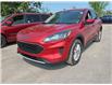 2021 Ford Escape SE in Kingston - Image 2 of 9