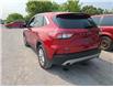 2021 Ford Escape SE in Kingston - Image 3 of 9
