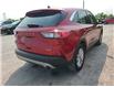 2021 Ford Escape SE in Kingston - Image 4 of 9