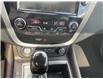2023 Nissan Murano Platinum (Stk: 250551) in Ottawa - Image 14 of 22