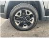 2018 Jeep Compass Trailhawk (Stk: 250456) in Ottawa - Image 22 of 22