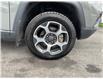 2022 Jeep Compass Trailhawk (Stk: 250470) in Ottawa - Image 22 of 22