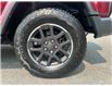 2021 Jeep Wrangler Unlimited Sahara (Stk: 250708) in Ottawa - Image 21 of 31