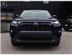 2019 Toyota RAV4 XLE (Stk: 15-25203A) in Ottawa - Image 15 of 25