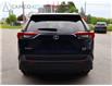 2019 Toyota RAV4 XLE (Stk: 15-25203A) in Ottawa - Image 16 of 25