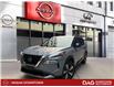 2023 Nissan Rogue Platinum (Stk: 250382A) in Toronto - Image 1 of 12