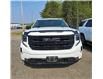 2022 GMC Sierra 1500 Elevation (Stk: 25246A) in Terrace Bay - Image 3 of 4