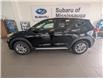 2017 Hyundai Tucson Premium (Stk: 250614A) in Mississauga - Image 4 of 18