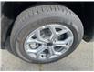 2025 Jeep Compass Sport (Stk: C257153) in Port Alberni - Image 9 of 14