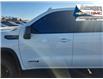 2022 GMC Sierra 1500 Limited AT4 (Stk: 45039A) in Fairview - Image 21 of 30