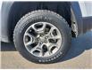 2021 Jeep Cherokee Trailhawk (Stk: J25047) in Brandon - Image 22 of 24