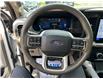 2024 Ford F-150 Platinum (Stk: NR16969) in Newmarket - Image 13 of 13