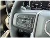 2025 GMC Sierra 1500 Elevation (Stk: 49517) in Carleton Place - Image 19 of 23