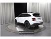 2024 Kia Sorento 2.5T X-Line Limited w/Black Interior (Stk: 25227D) in Edmonton - Image 5 of 30