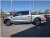 2024 Ford F-150 XLT (Stk: P5430) in Casselman - Image 7 of 28