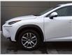 2015 Lexus NX 200t Base (Stk: PL4049) in Windsor - Image 3 of 27