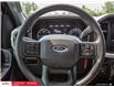 2022 Ford F-150  (Stk: 62433) in Essex-Windsor - Image 16 of 30