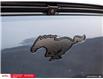 2023 Ford Mustang Mach-E Premium (Stk: 62443) in Essex-Windsor - Image 14 of 32