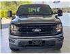 2025 Ford F-150 XLT (Stk: 25219) in Port Alberni - Image 9 of 36
