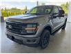 2025 Ford F-150 XLT (Stk: 25219) in Port Alberni - Image 15 of 36