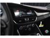 2025 Alfa Romeo Giulia Tributo Italiano (Stk: AR2537) in Edmonton - Image 13 of 28